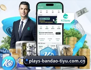 半岛体育 APP 深度功能